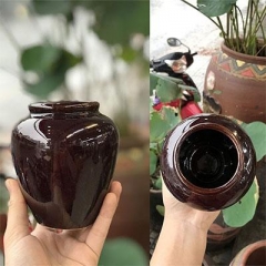 lu-dung-bia