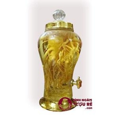binh-sam-phu-hoa-5-lit-co-van
