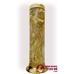 binh-ngam-ruou-phu-hoa-4-8-lit-co-van