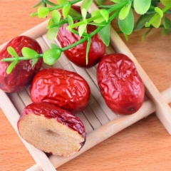 tao-do-tan-cuong-say-kho