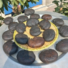 da-day-nhim-rung-kho