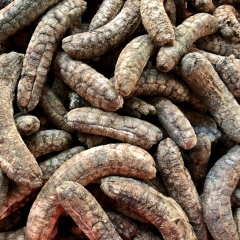 chuoi-hot-rung-tay-nguyen