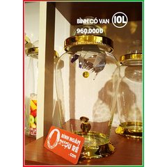 binh-thuy-tinh-ngam-ruou-sam-10l-co-voi-van