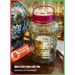 binh-ngam-ruou-nap-tim-gia-re-5-lit-co-voi-van