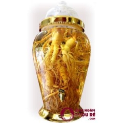 binh-ngam-ruou-phu-hoa-23-lit-co-van
