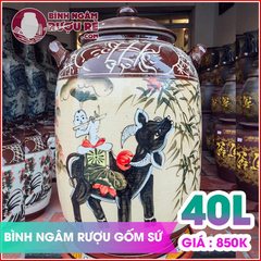 Bình ngâm rượu 40L men nâu đẹp