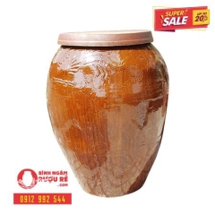 lu-sanh-dang-bau-co-dai-200-lit
