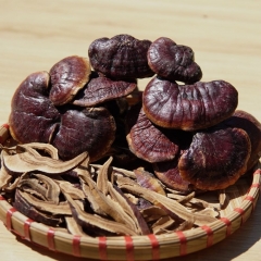 nam-lim-xanh-rung