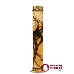 binh-tru-yongcheon-han-quoc-no97-6-5lit-small45